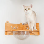 Corner Cat Wall Bubble Perch with Clear Bowl and Rubberwood Frame for Elevated Indoor Resting