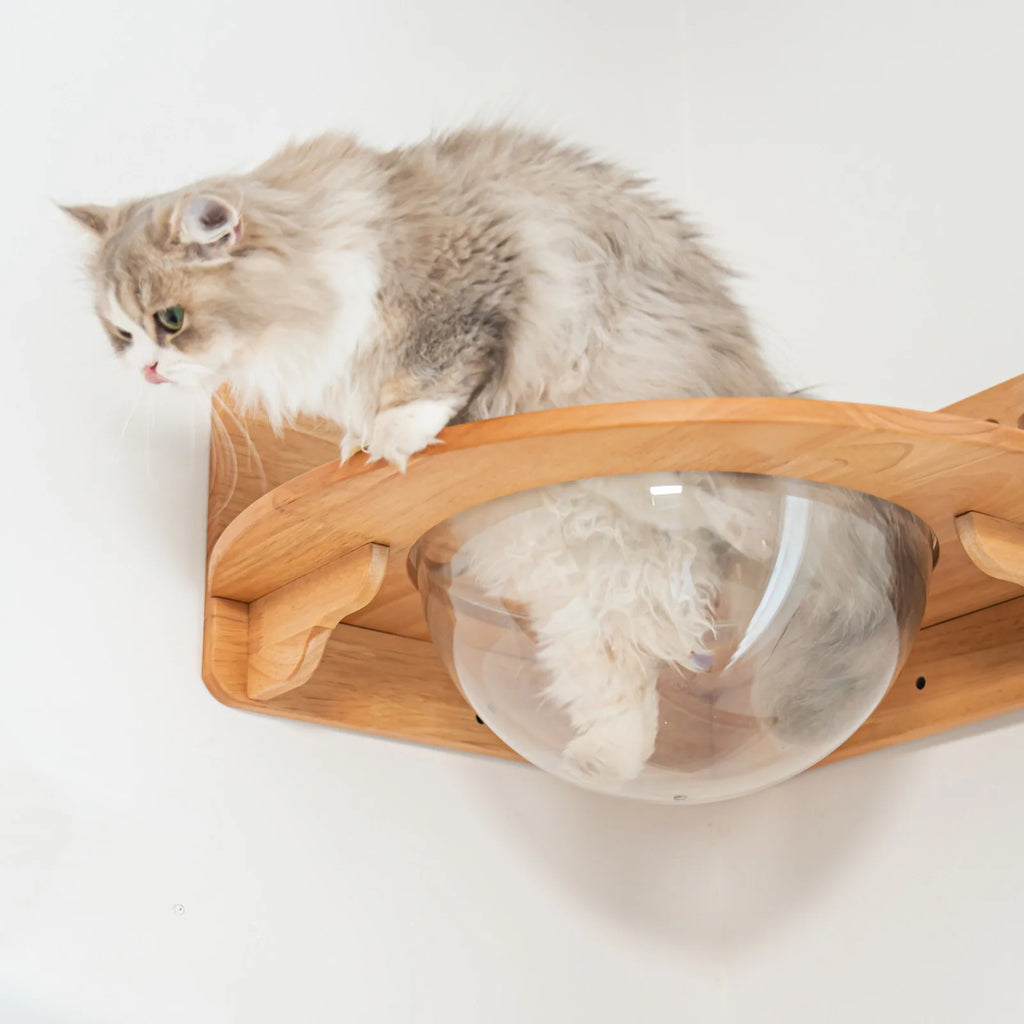 Corner Cat Wall Bubble Perch with Clear Bowl and Rubberwood Frame for Elevated Indoor Resting