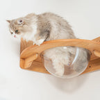 Corner Cat Wall Bubble Perch with Clear Bowl and Rubberwood Frame for Elevated Indoor Resting
