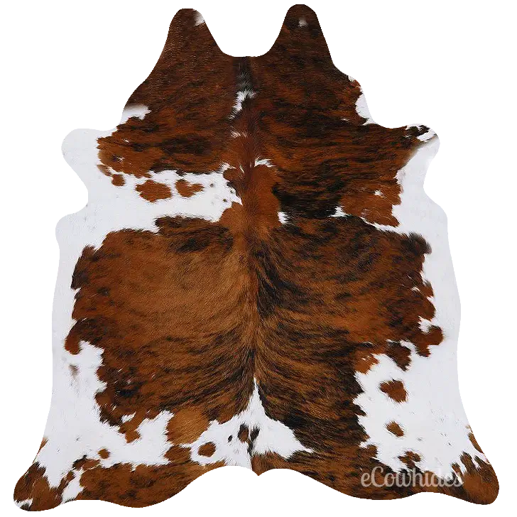 Cowhide Rug in Tricolor Brindle Brown, Black and White Genuine Hair-On Leather, Large to XXL Sizes