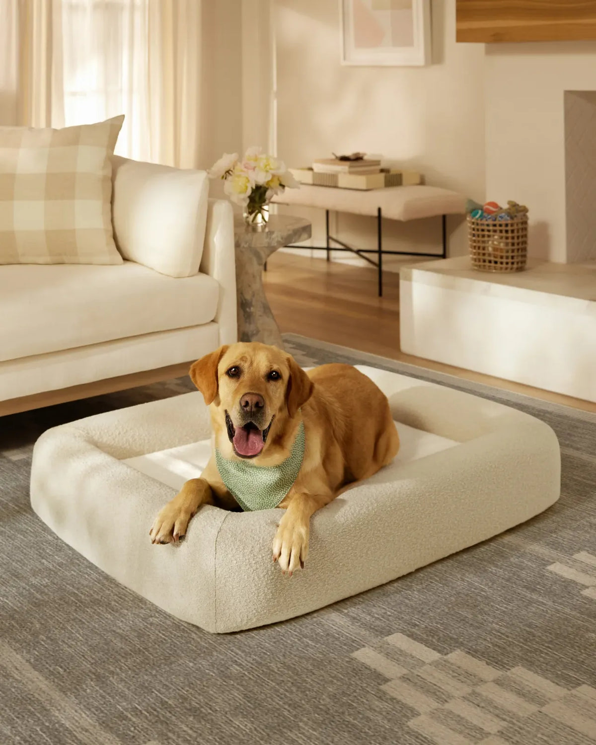 Cream Boucle Bolster Pet Bed and Cover