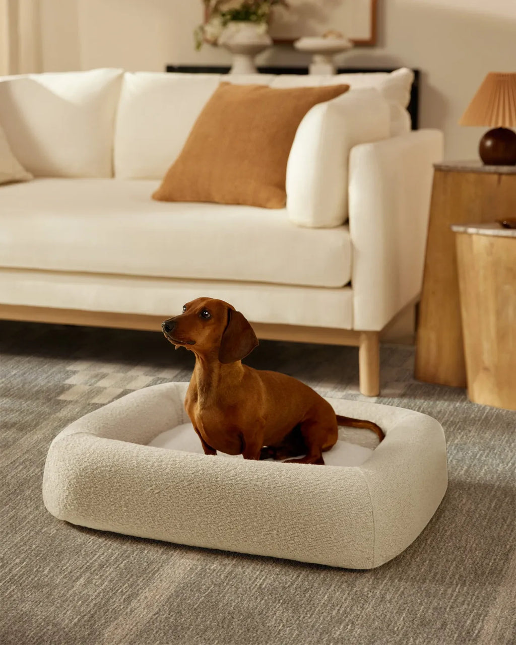 Cream Boucle Bolster Pet Bed and Cover