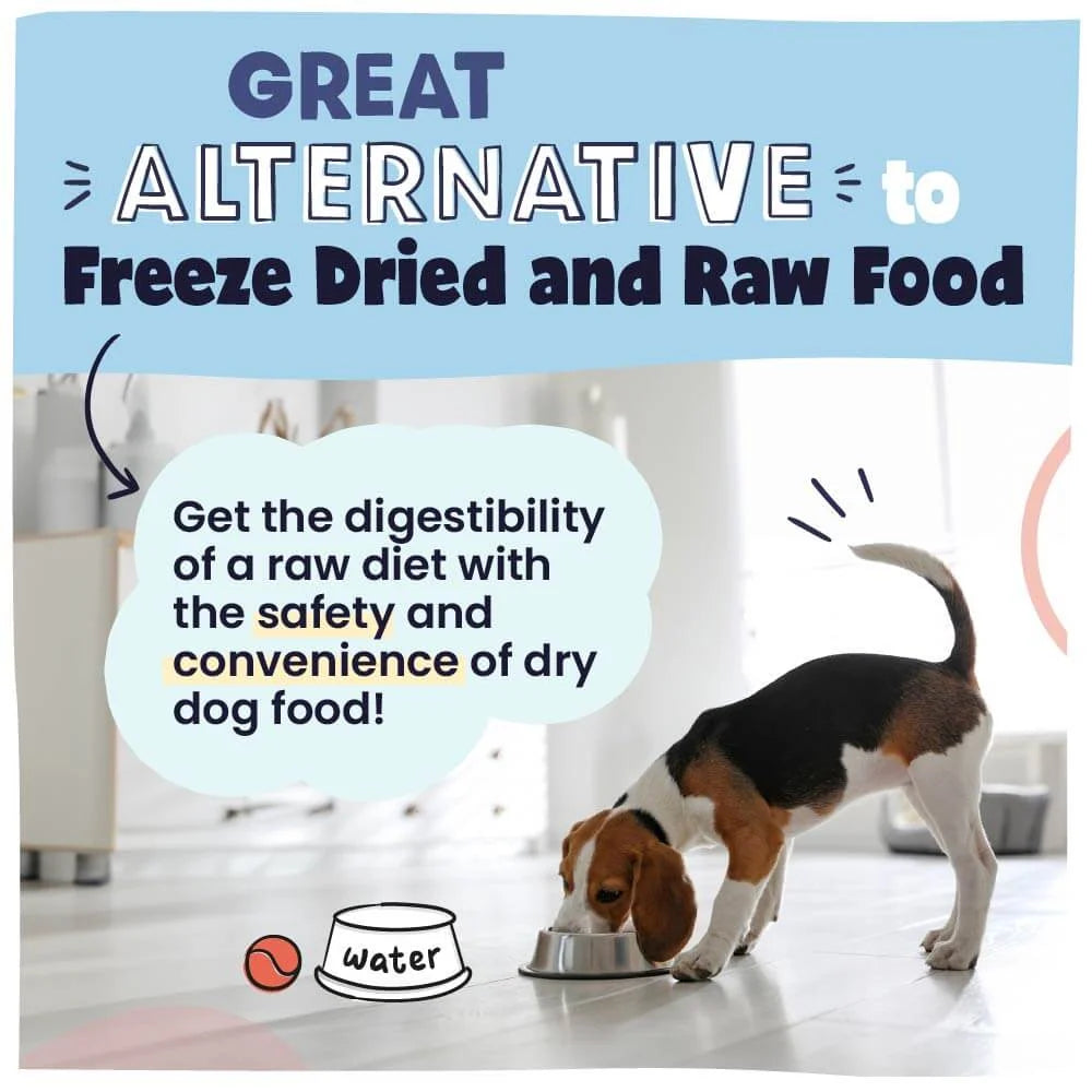 Crunchy Air Dried Dog Food in a 95% Beef Recipe