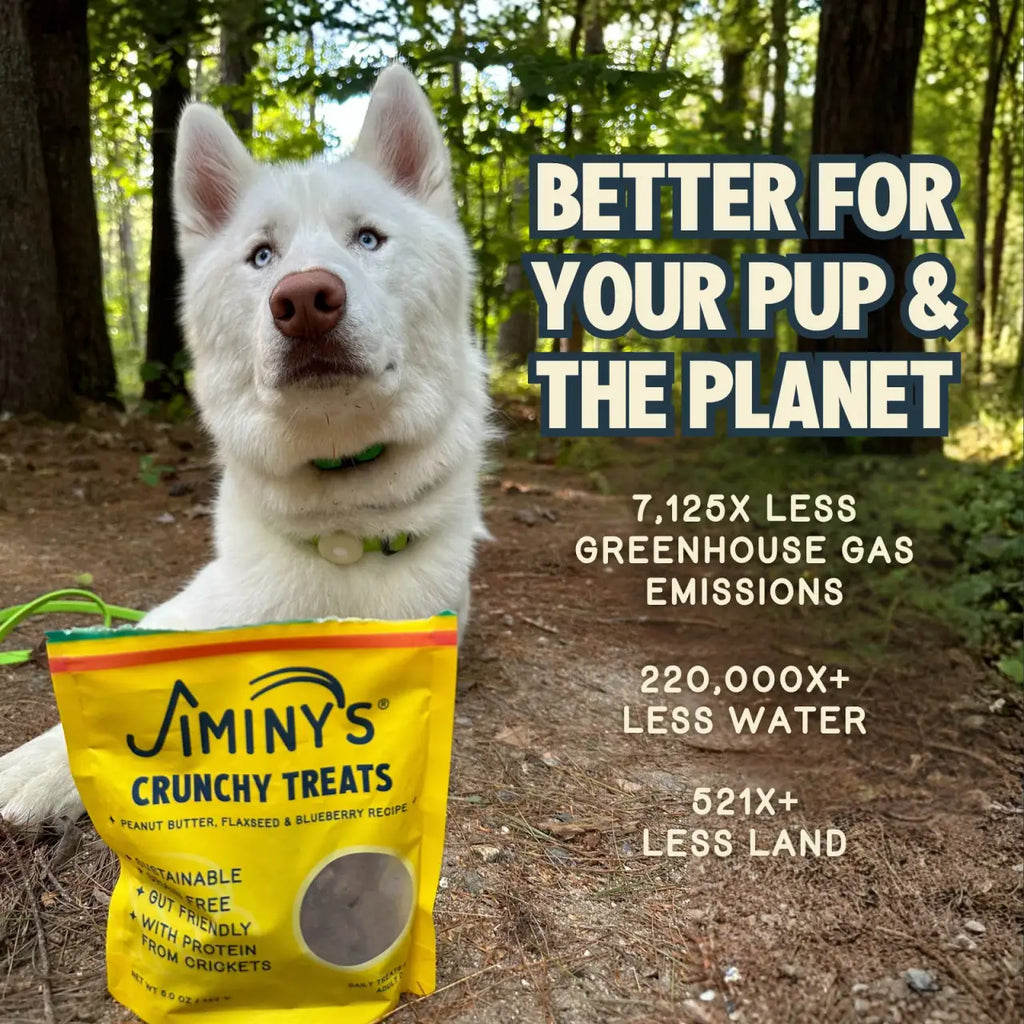 Crunchy Peanut Butter Dog Treats with Blueberry, Flaxseed and Sustainable Cricket Protein · Crunchy soft-baked dog biscuit