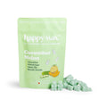 Cucumber Melon Soy Wax Melts in a 4 oz. Pouch, Infused with Essential Oils for a Crisp Fruity Scent — 4 oz. Pouch