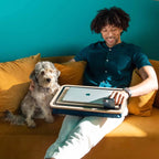 Cushioned Laptop Desk