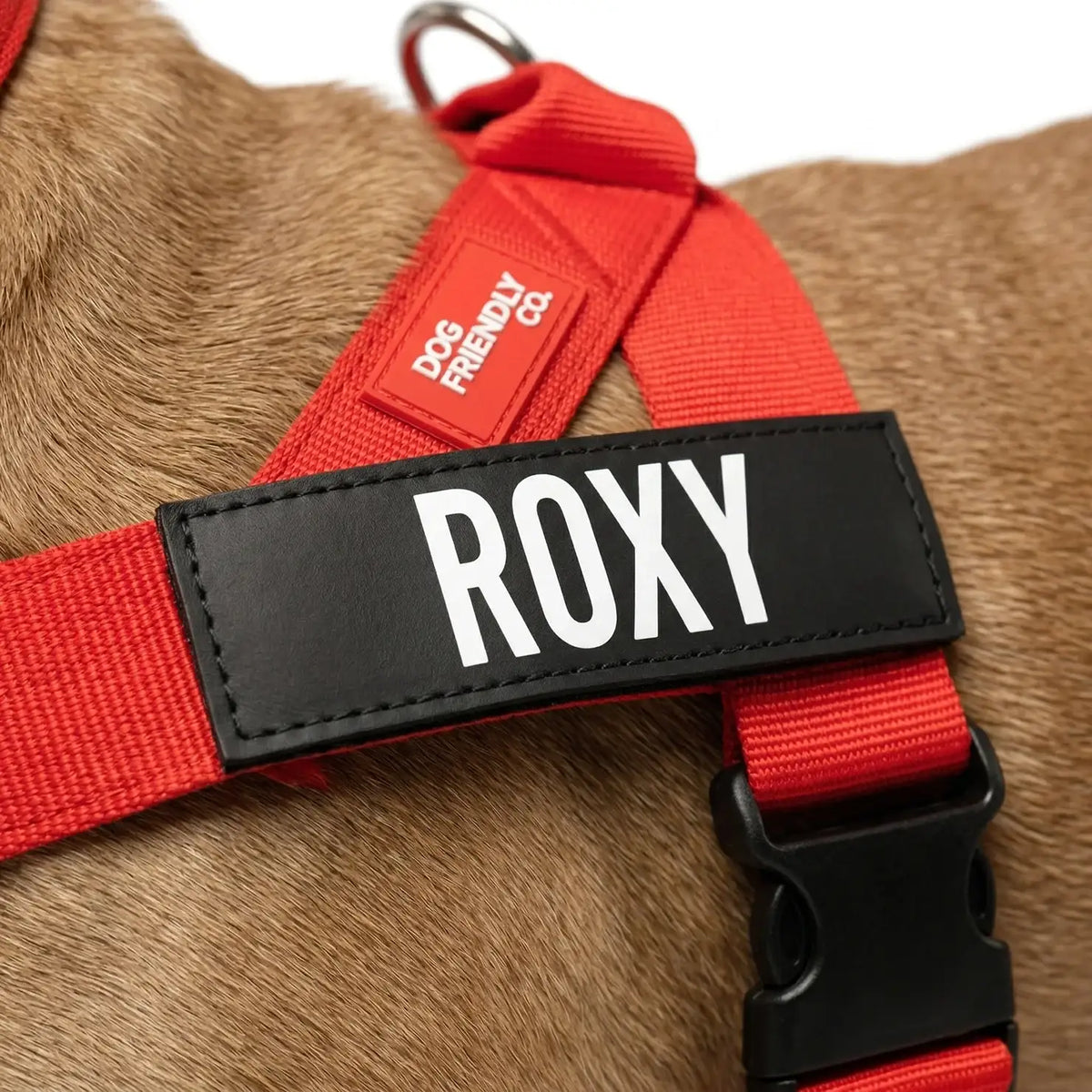 Custom Dog Name Patches in a Set of Two