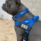 Custom Dog Name Patches in a Set of Two