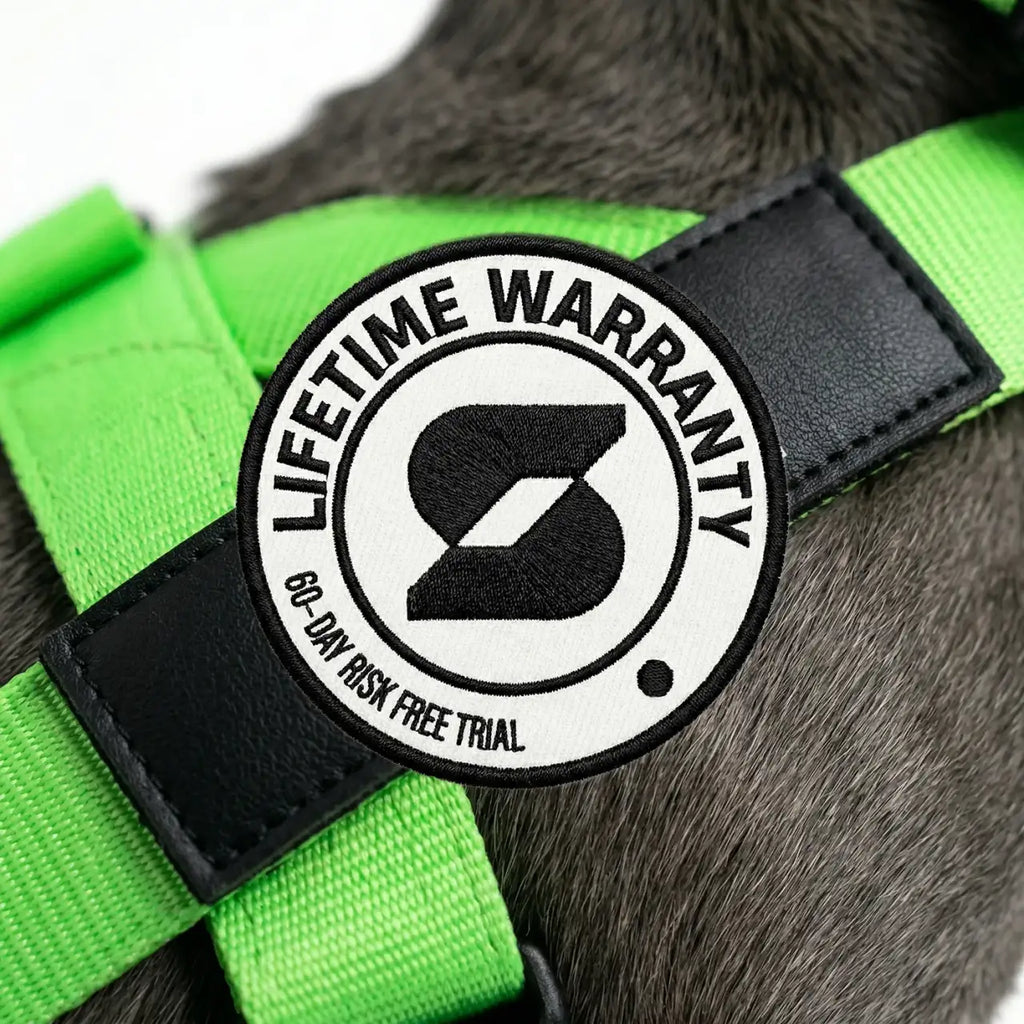 Custom Dog Name Patches in a Set of Two