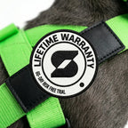 Custom Dog Name Patches in a Set of Two