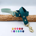 Custom Two Tone BioThane Dog Lead with Waterproof Finish, Solid Brass Clip, Smooth Handle and Flexible Length