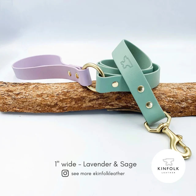 Custom Two Tone BioThane Dog Lead with Waterproof Finish, Solid Brass Clip, Smooth Handle and Flexible Length
