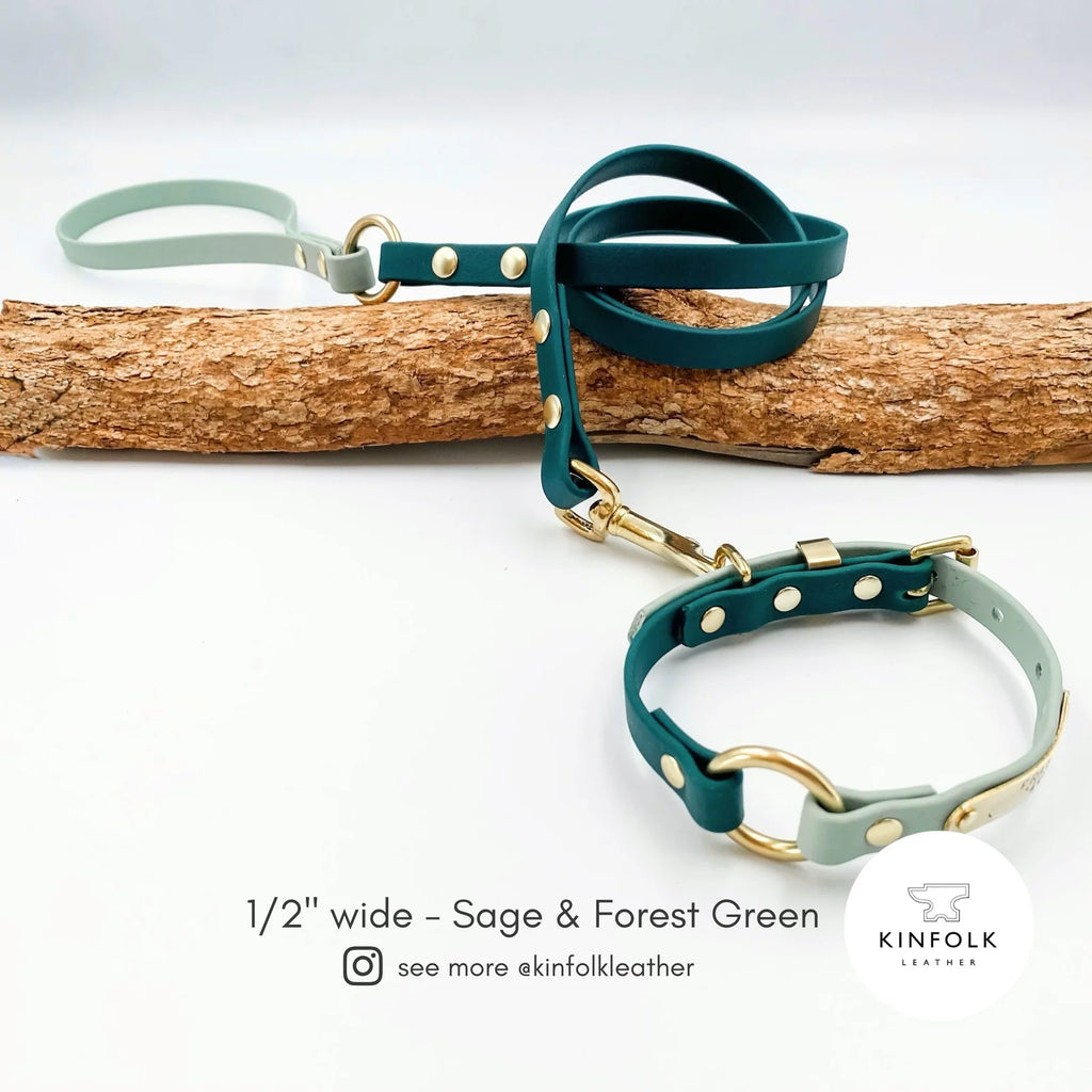 Custom Two Tone BioThane Dog Lead with Waterproof Finish, Solid Brass Clip, Smooth Handle and Flexible Length