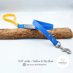 Custom Two Tone BioThane Dog Lead with Waterproof Finish, Solid Brass Clip, Smooth Handle and Flexible Length