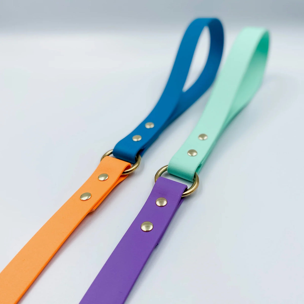 Custom Two Tone BioThane Dog Lead with Waterproof Finish, Solid Brass Clip, Smooth Handle and Flexible Length