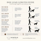 Custom Two Tone BioThane Dog Lead with Waterproof Finish, Solid Brass Clip, Smooth Handle and Flexible Length