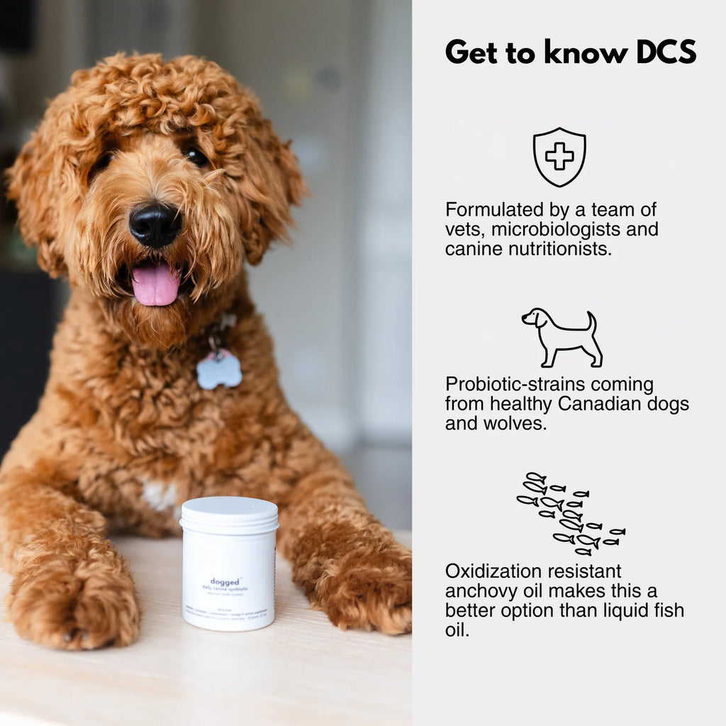 Daily Canine Synbiotic Supplement