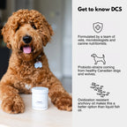 Daily Canine Synbiotic Supplement