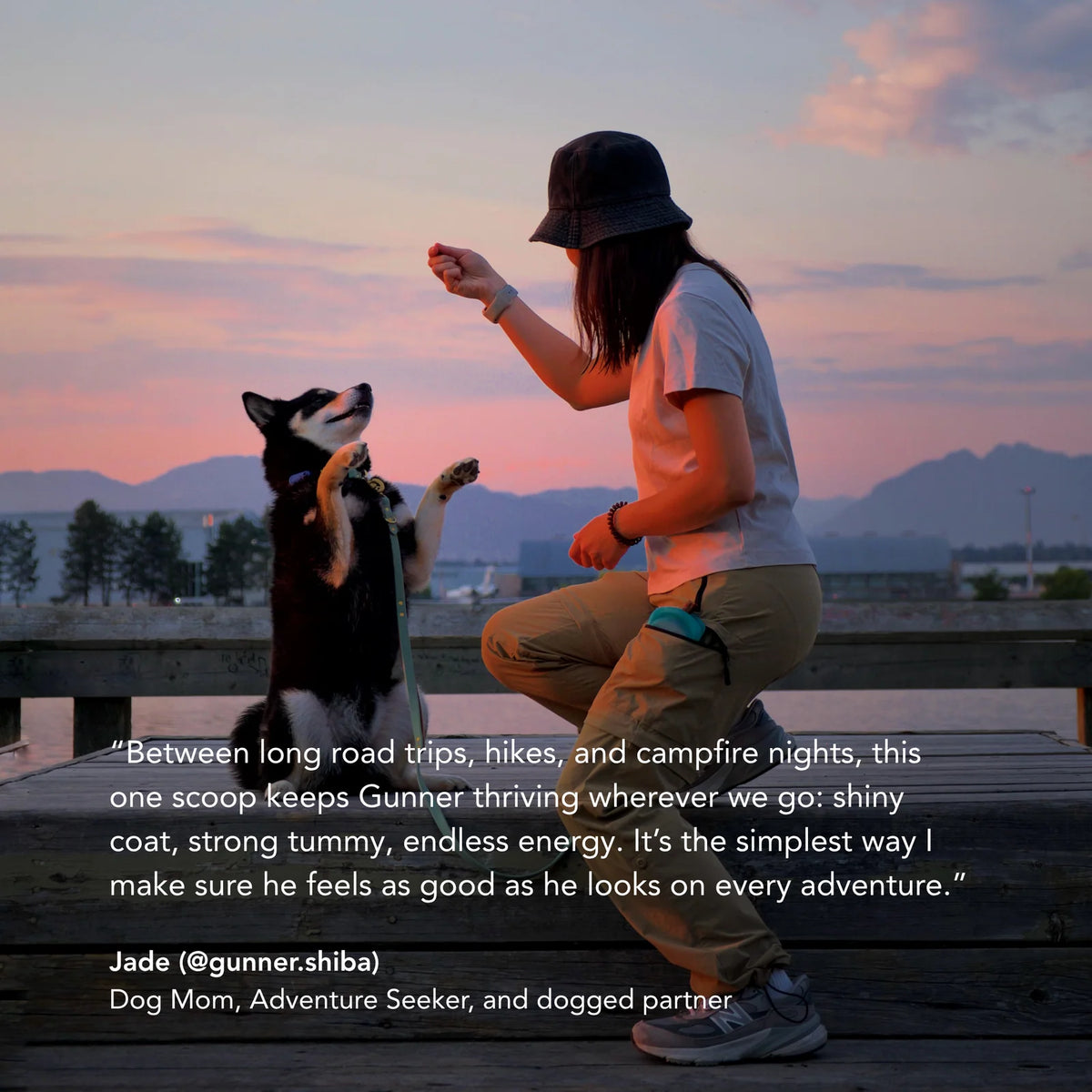 Daily Canine Synbiotic Supplement