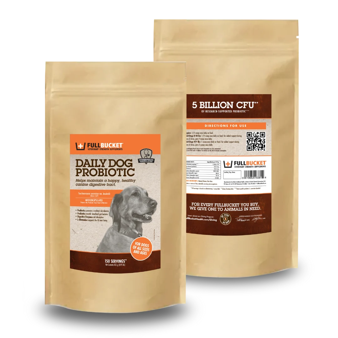 Daily Dog Probiotic Powder