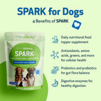 Daily Nutritional Greens Supplement