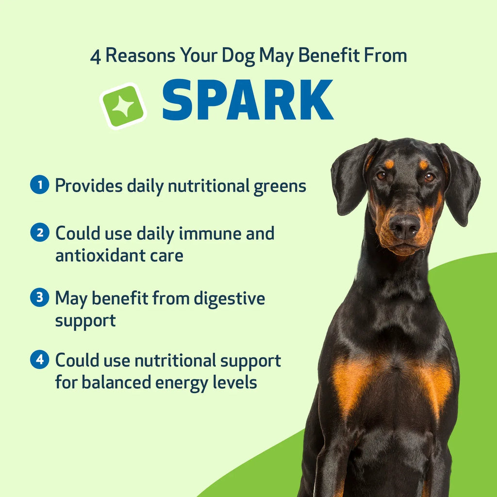 Daily Nutritional Greens Supplement