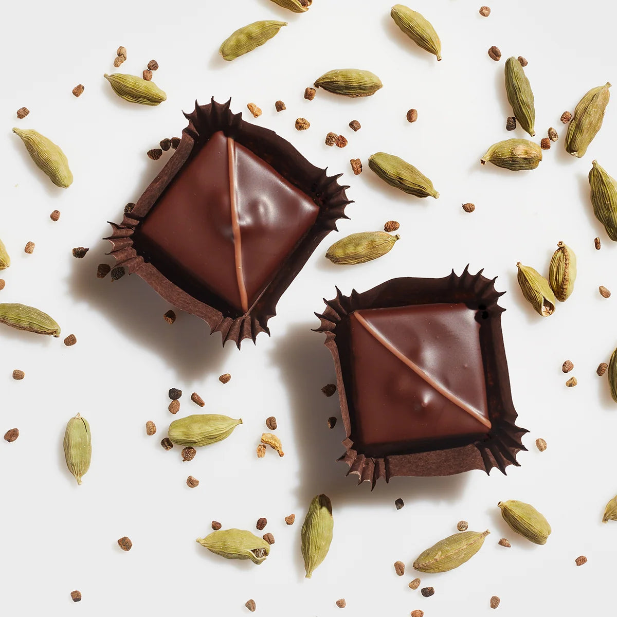 Dark Chocolate Gift Box, 9 Pieces of Rich Chocolate and Herb, Nut, Fruit and Spice Flavors, 4.3 oz