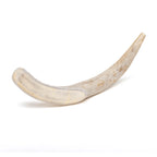 Deer Antler Dog Chew, Approximately 9-Inch Whole Antler