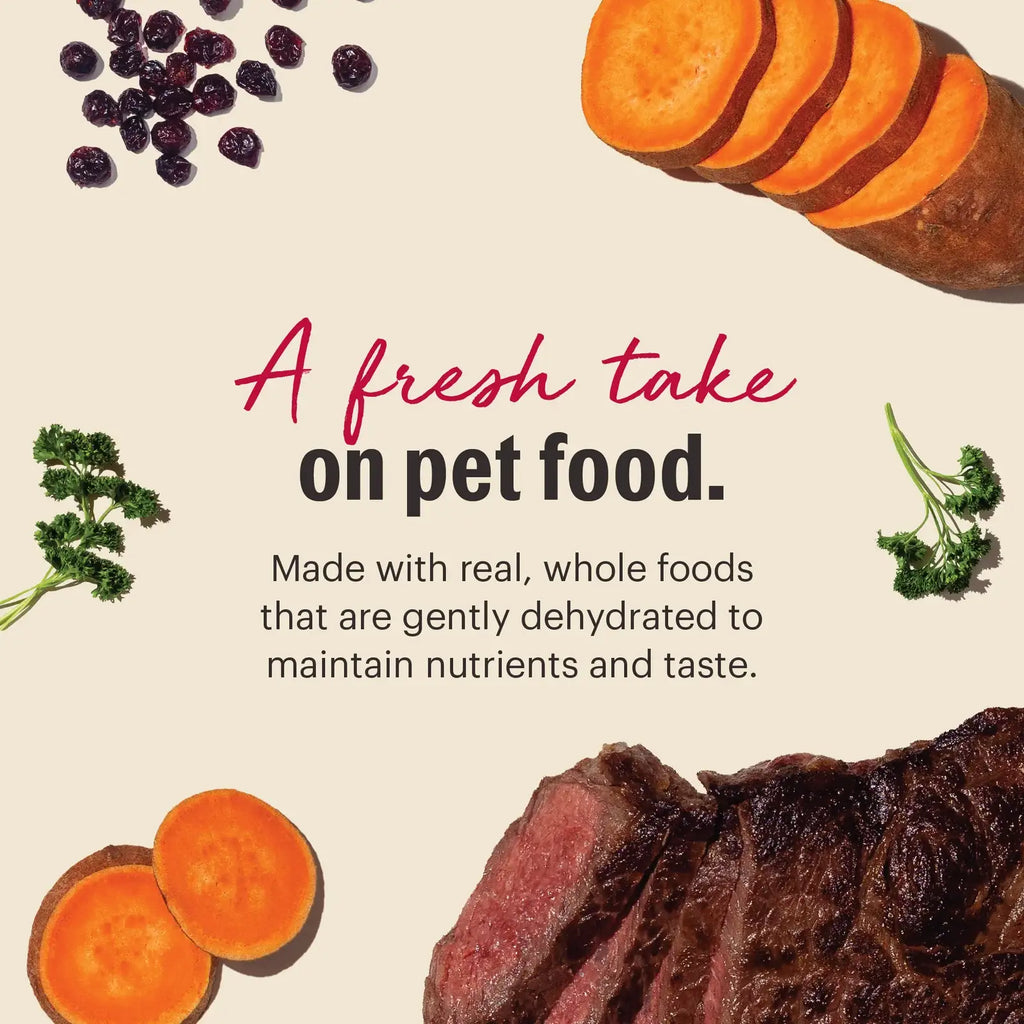 Dehydrated Grain Free Beef Dog Food for Complete Meals, Toppers, or Enrichment Serving in Four Sizes