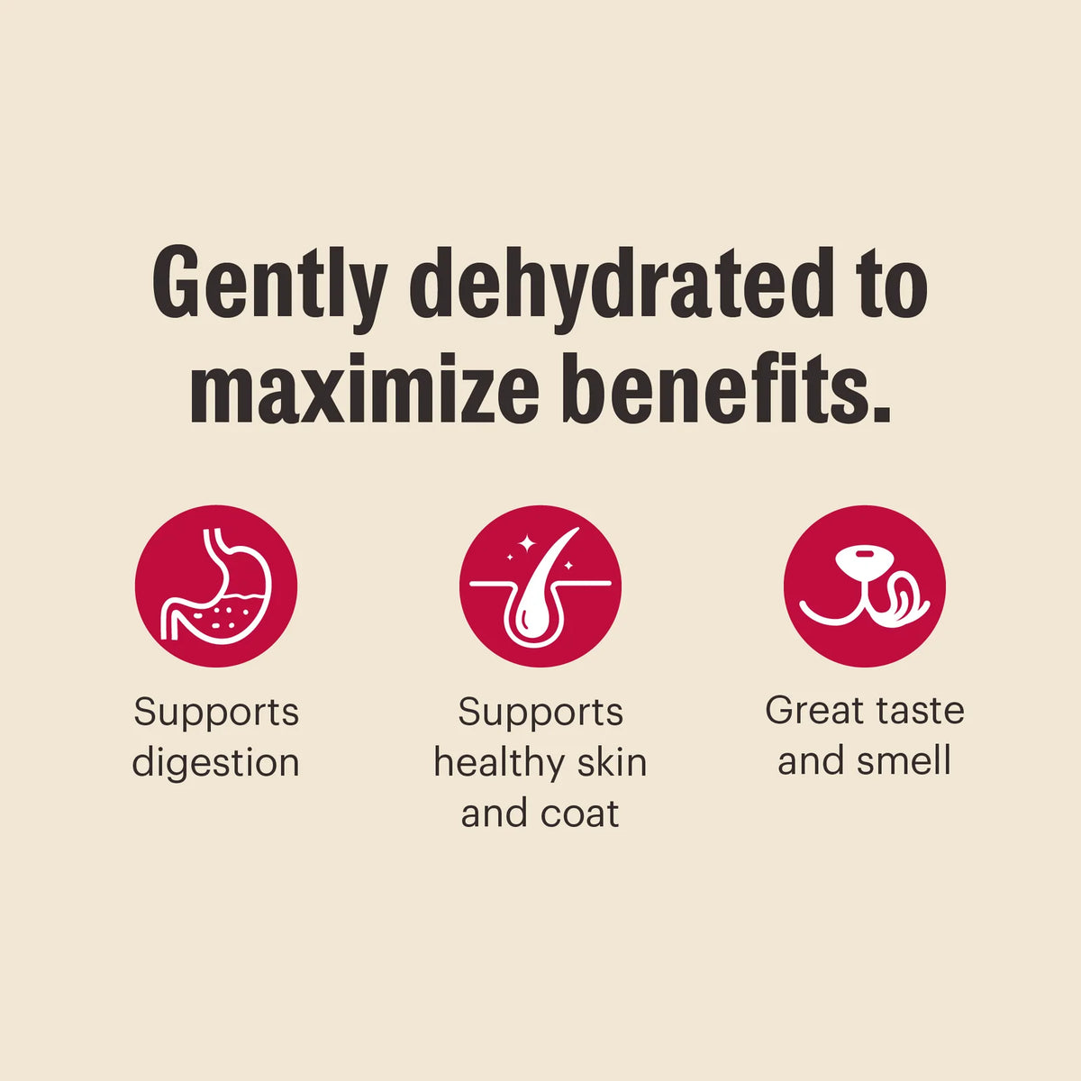 Dehydrated Grain Free Beef Dog Food for Complete Meals, Toppers, or Enrichment Serving in Four Sizes
