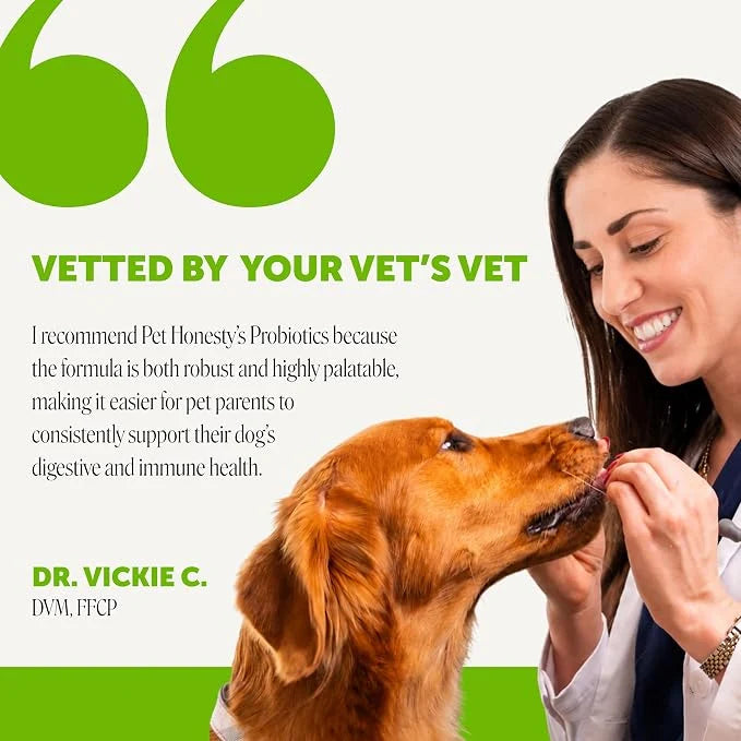 Digestive Probiotic Soft Chews