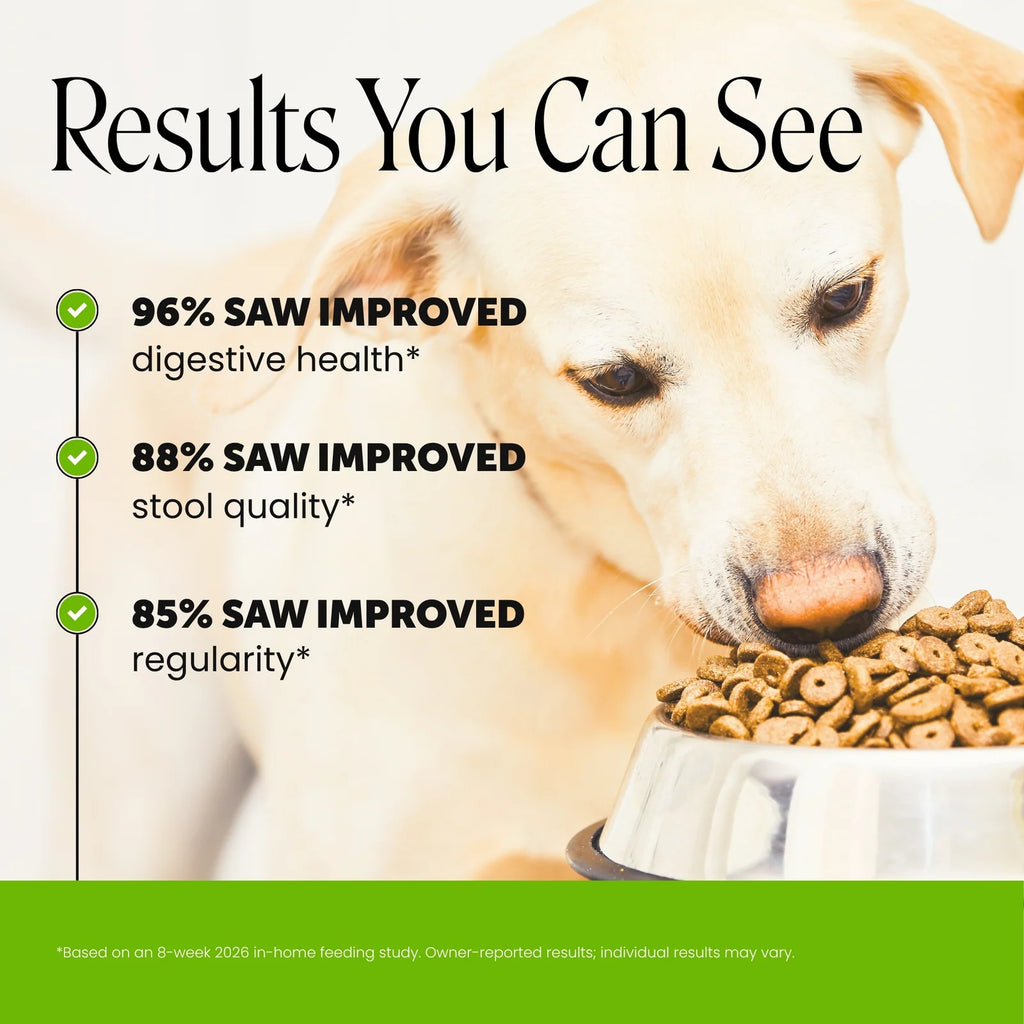 Digestive Probiotic Soft Chews