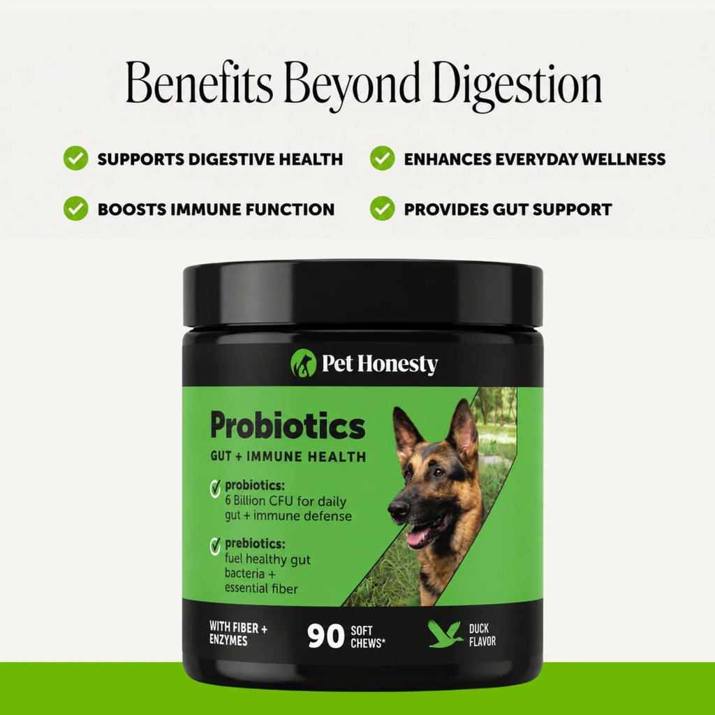 Digestive Probiotic Soft Chews