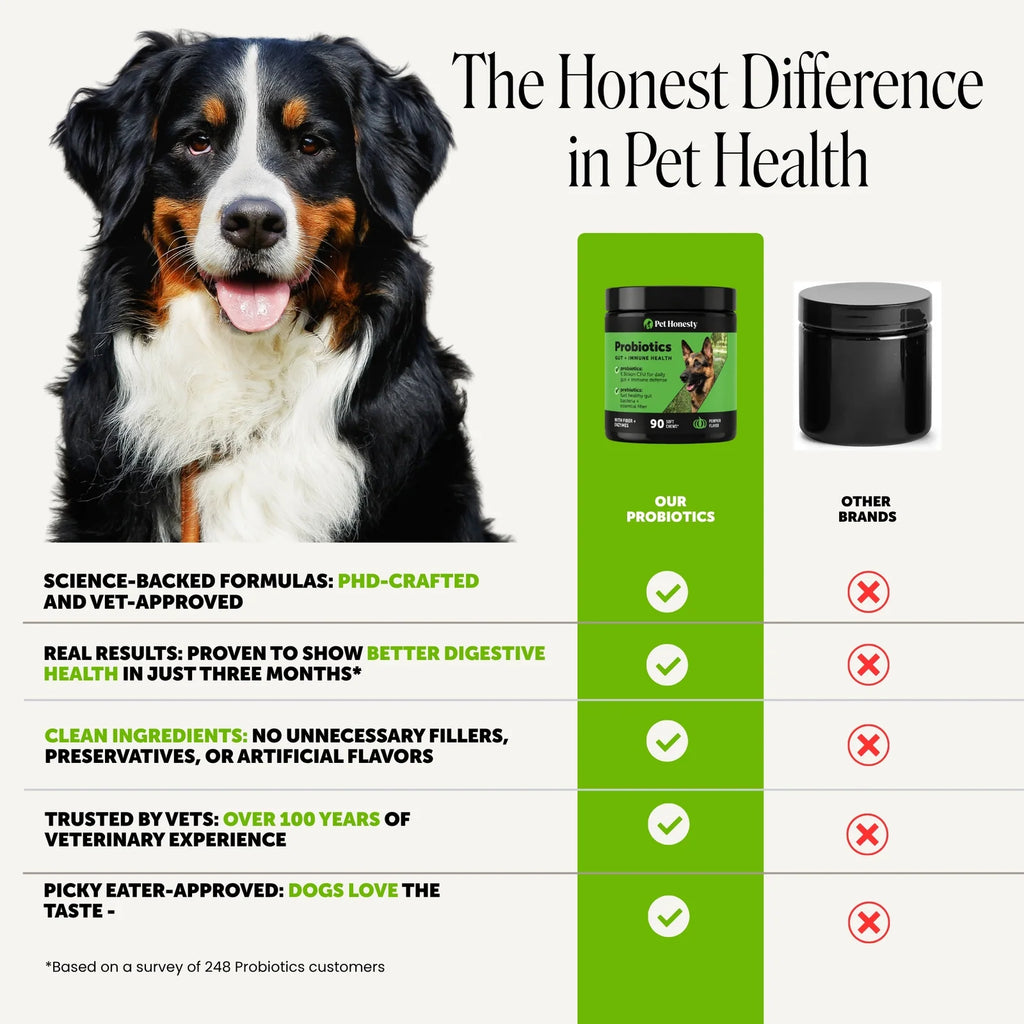 Digestive Probiotic Soft Chews