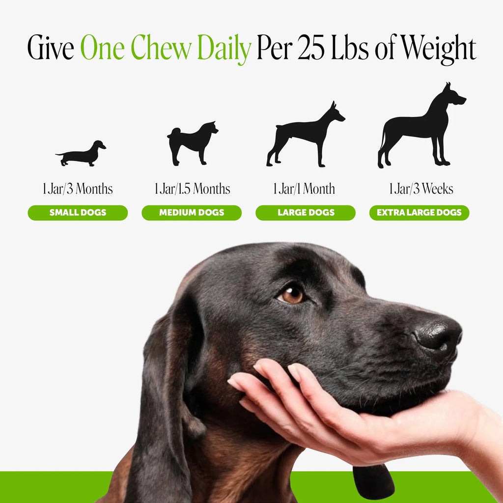 Digestive Probiotic Soft Chews
