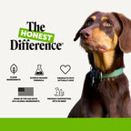 Digestive Probiotic Soft Chews