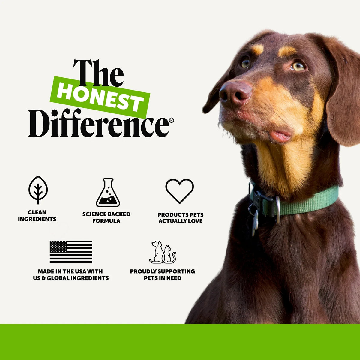 Digestive Probiotic Soft Chews