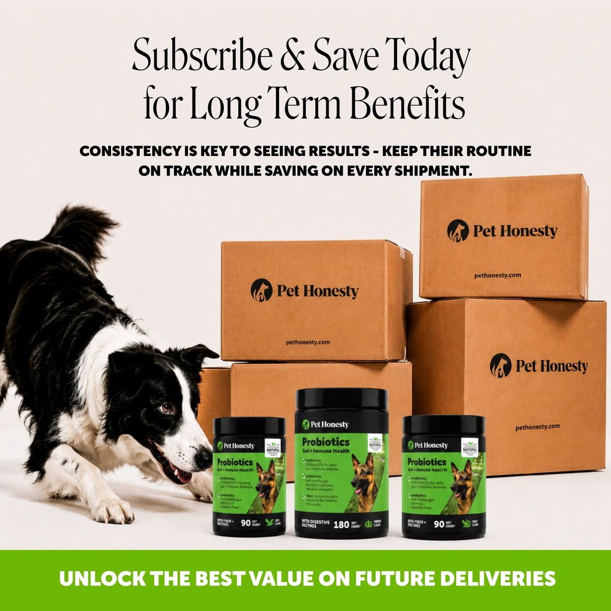 Digestive Probiotic Soft Chews