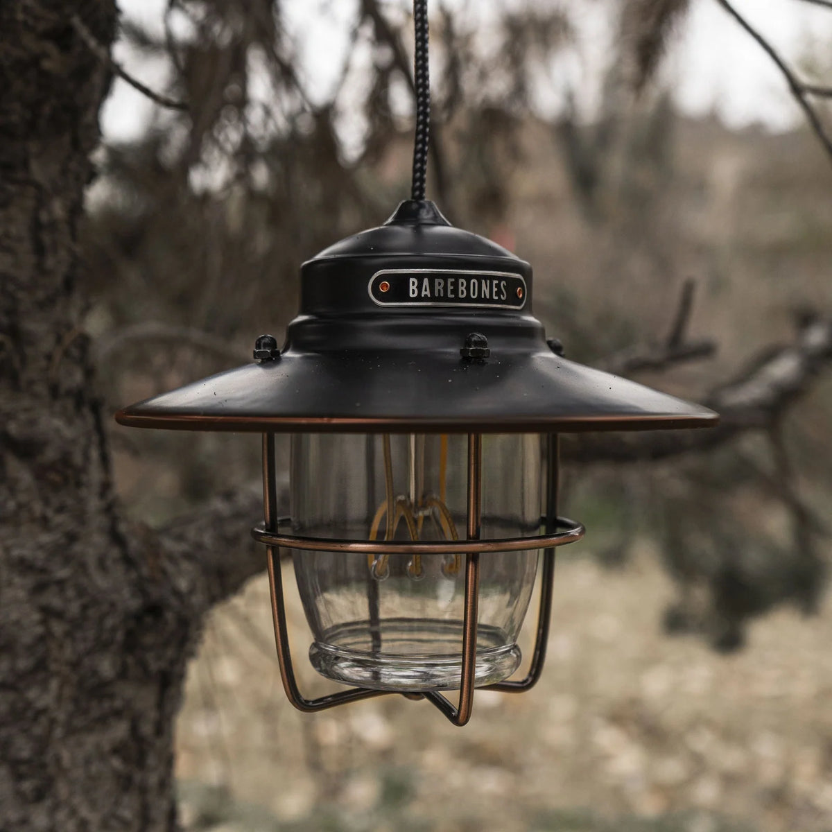 Dimmable Pendant Light