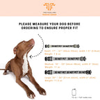 DO NOT PET Dog Collar with Bright Embroidered Safety Message, Neoprene Padding, Metal Buckle and Multiple Sizes