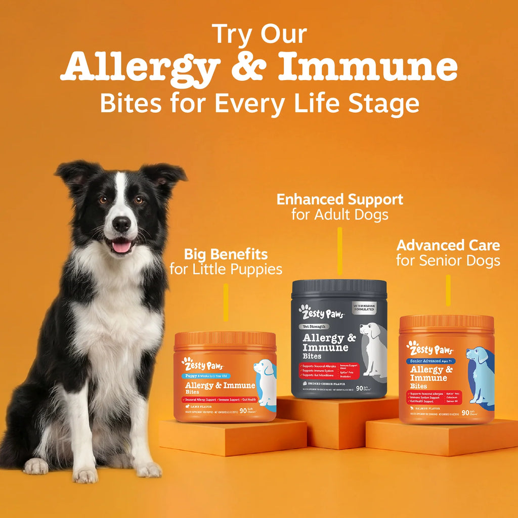 Dog Allergy Chews