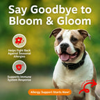 Dog Allergy Chews