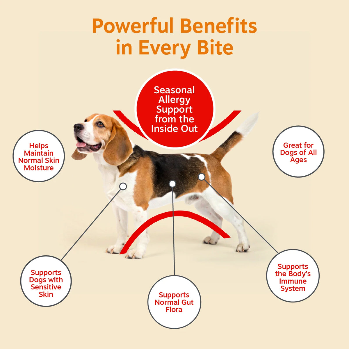 Dog Allergy Chews