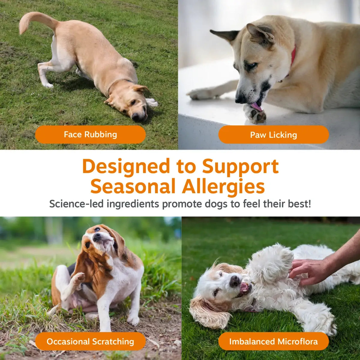 Dog Allergy Chews