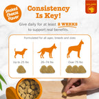 Dog Allergy Chews