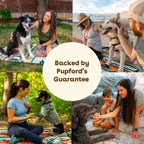 Dog Allergy Soft Chews Made in the USA with Non-GMO Ingredients and No Artificial Additives, Single Tub