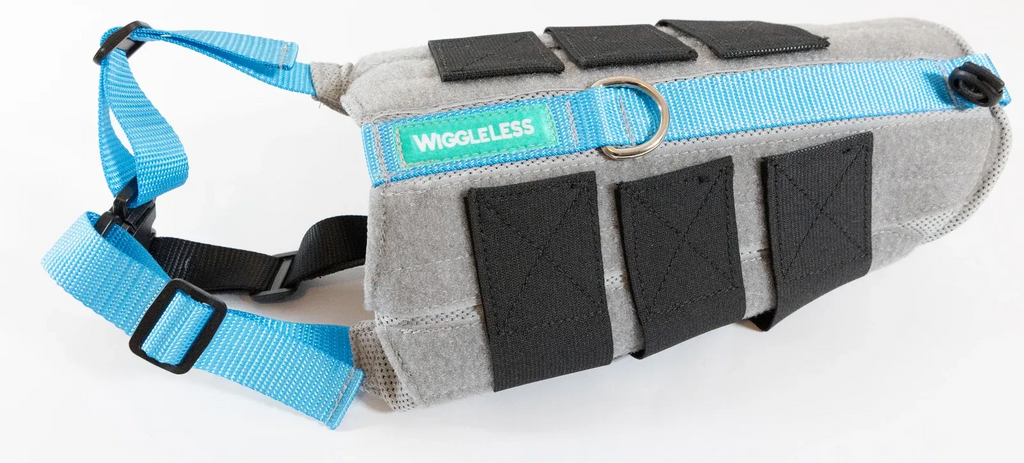 Dog Back Brace in Eight Sizes from 7 to 21 Inches, Selected Using