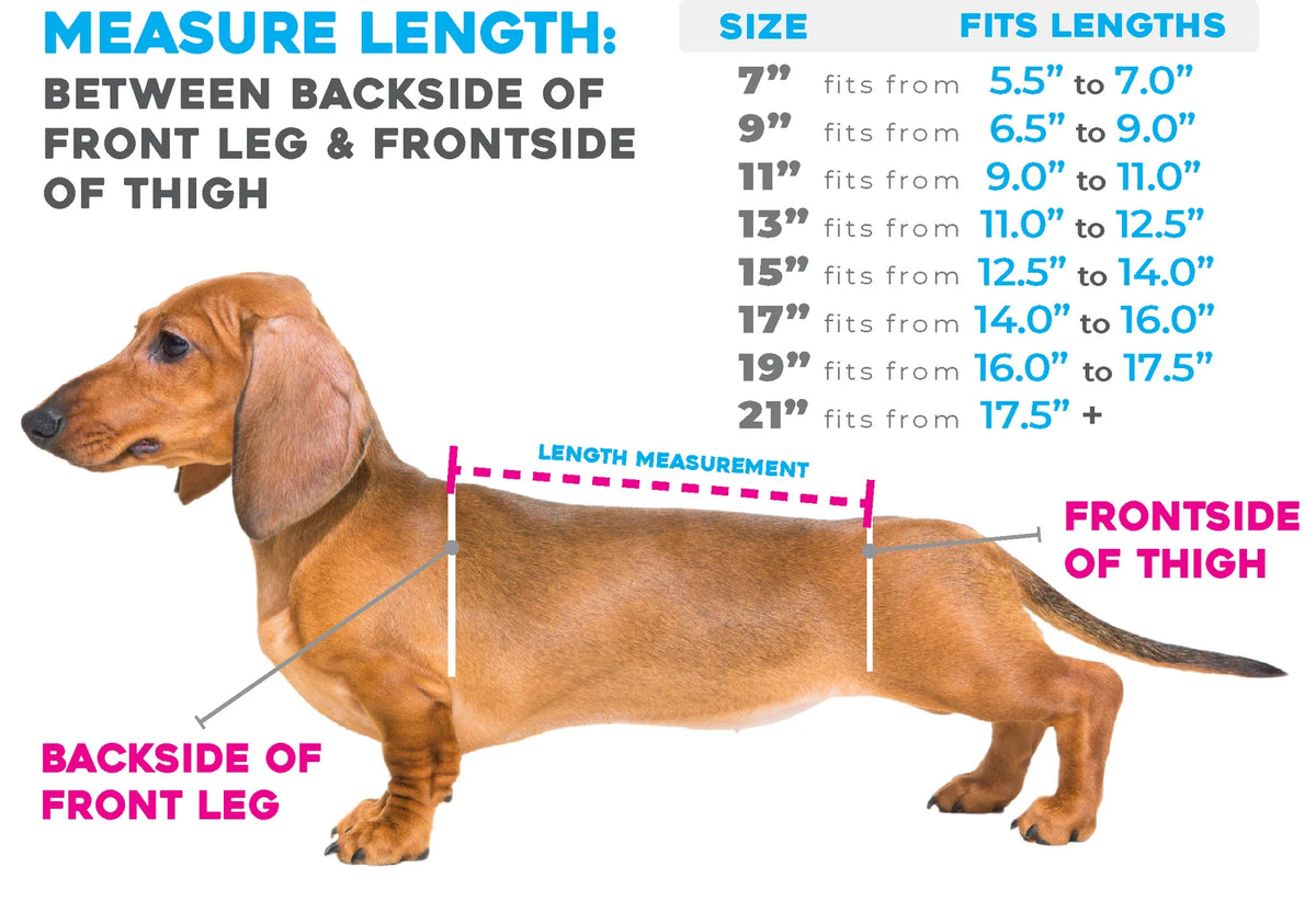 Dog Back Brace in Eight Sizes from 7 to 21 Inches, Selected Using