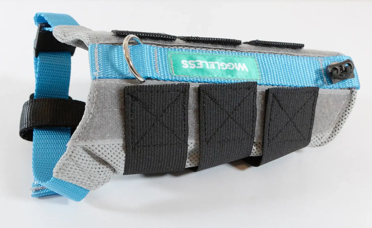 Dog Back Brace in Eight Sizes from 7 to 21 Inches, Selected Using