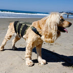 Dog Back Brace in Eight Sizes from 7 to 21 Inches, Selected Using